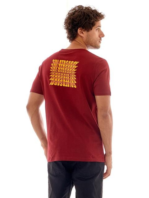  Galatasaray Erkek T-shirt E231177-685