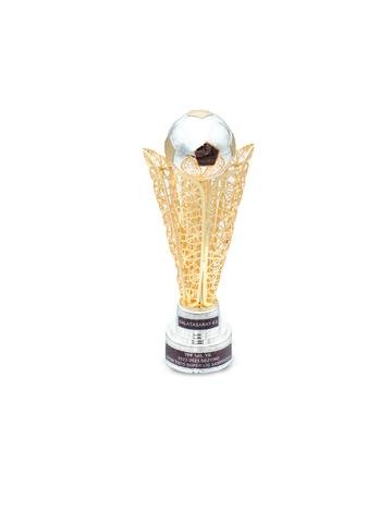 Süper Lig Şampiyonluk Kupası Kutulu U231334 - 16cm