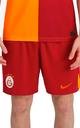 Nike Galatasaray Erkek İç/Dış Saha Futbol Şort FJ6344-613