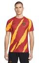  Nike Galatasaray Erkek Antrenman Kısa Kollu T-shirt DM1700-629