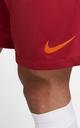  Nike Galatasaray Erkek  İç/Dış Saha Futbol Şort CV8150-628