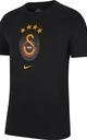  Nike Galatasaray Logo Erkek T-shirt CZ5642-010