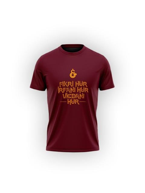  Galatasaray Fikri Hür Erkek T-shirt E211705