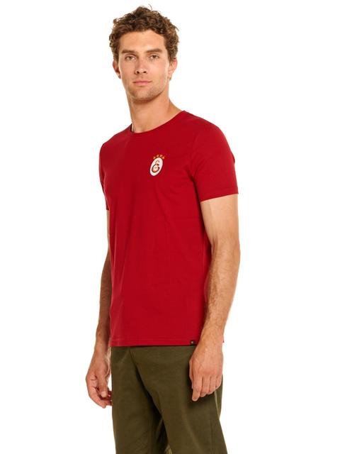  Galatasaray Erkek T-Shirt E88048