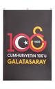  Galatasaray Balkon Bayrağı 800x1200cm U231466