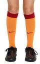  Nike Galatasaray 2023/2024 Çocuk Parçalı İç Saha Forma Set FJ6954-836