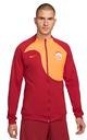 Nike Galatasaray Erkek Ceket FJ7587-606