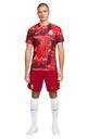  Nike Galatasaray Erkek Antrenman Kısa Kollu T-shirt FJ7650-681