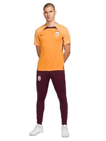 Nike Galatasaray Erkek Antrenman Kısa Kollu T-shirt FJ9508-836