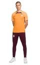  Nike Galatasaray Erkek Antrenman Kısa Kollu T-shirt FJ9508-836