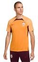  Nike Galatasaray Erkek Antrenman Kısa Kollu T-shirt FJ9508-836