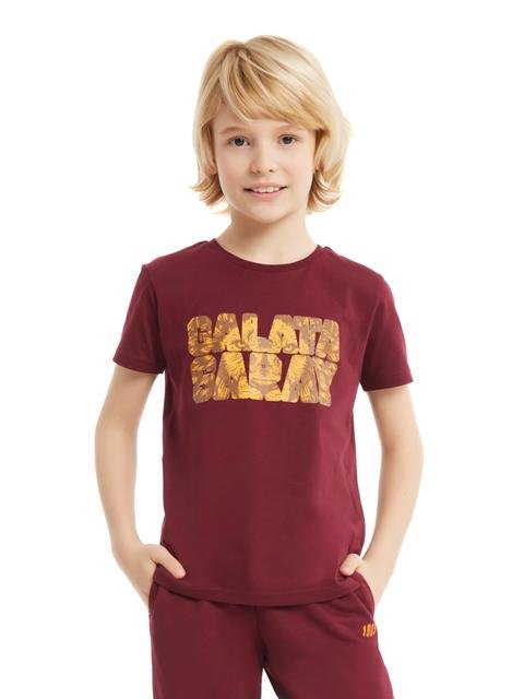  Galatasaray Çocuk T-shirt C232147