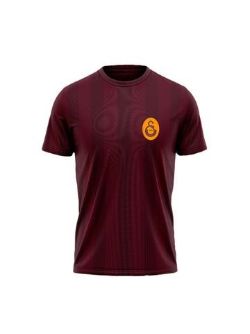 Galatasaray Çocuk Match Day T-shirt C232278