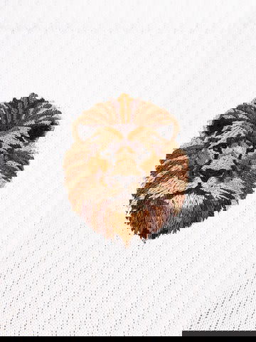 GSSTORE X Reflect Studio Aslan Çorap U251269